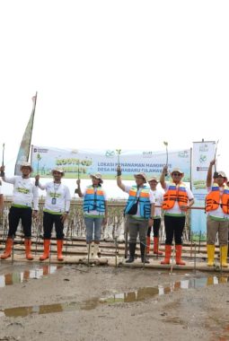 PLN UIP JBT Turut Ambil Bagian dalam Penanaman Ribuan Pohon di Jawa Barat dan Jawa Tengah