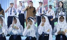 Jateng Mulai Bangun Peternakan Sapi Perah Terbesar di Indonesia, Investasi Rp1,2 Triliun